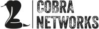 Cobra Networks - ciberseguridad empresarial